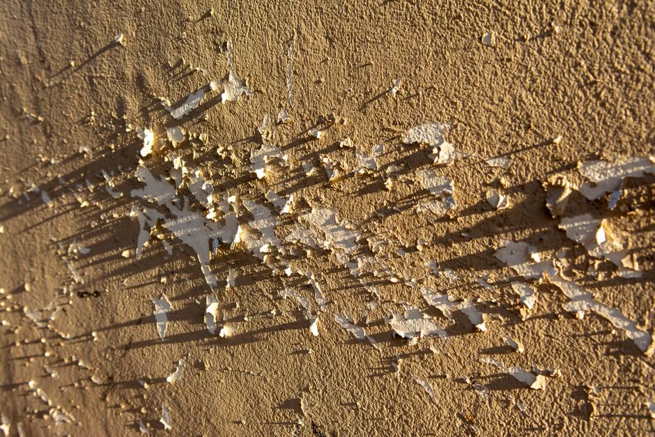 build-surfaces product image